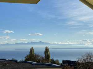 Bild: Ferienwohnung Fam. Sauer - mit herrlichem See- und Alpenblick -