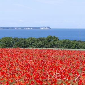 Bild 17: S03 Insel Rügen, gemütlich mit 2 Schlafzimmer, Meerblick, zentrale Lage