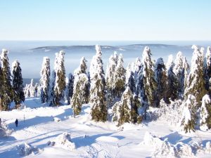 Blick vom Schneeberg Der höchste Berg Frankens kann im Winter über die Schneebergstraße bestiegen werde. Es bietet sich ein Ausblick in die bizarre Winterlandschaft und hinüber zum Waldstein.