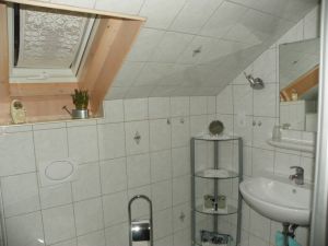 helles Bad mit Waschbecken, Dusche und WC.
Handtücher,Föhn,Toilettenspiegel, Kosmetikspiegel sind vorhanden.