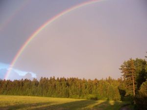 Ein Regenbogen vom Balkon zeigt sich dieser schöne Regenbogen.