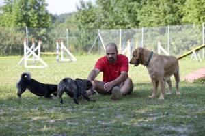 Bild 4: Urlaub mit Hund in Niederbayern World of Animals 4 Pfoten Resort