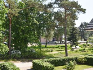 Bild 10: Ferienwohnung Rügenzauber nur 50 Meter bis zum Strand