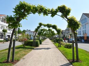 Bild 8: Ferienwohnung Rügenzauber nur 50 Meter bis zum Strand