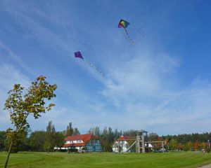 Bild 12: D42 Rügen, mit dem Strand für die ganze Familie vor der Nase, mit Terrasse