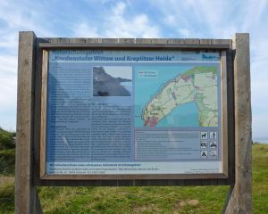 Bild 15: D42 Rügen, mit dem Strand für die ganze Familie vor der Nase, mit Terrasse
