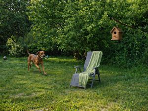 Bild 13: Fewo 500 m zum Wasser, Balkon, Terrasse, Garten mit Grillecke, 2 Fahrräder!