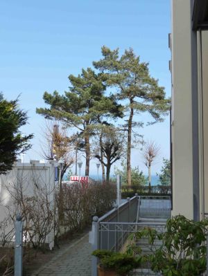 Blick von der Haustür zur Ostsee