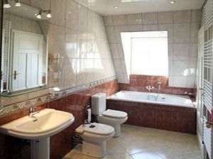 Duschbad mit Bidet und Badewanne