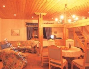 großzügiges Wohnzimmer mit Esstisch. viel Holz schafft Gemütlichkeit