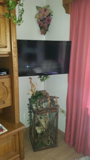 bieten beste Unterhaltungsmöglichkeiten