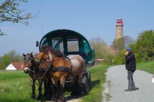 Bild 28: FH "Strandräuber", Zaun, W-LAN, Kamin, 5 P., strandnah, 2 Fahrräder