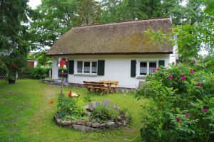 Bild 1: FH "Strandräuber", Zaun, W-LAN, Kamin, 5 P., strandnah, 2 Fahrräder