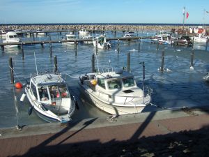 Bild 25: FH "Strandräuber", Zaun, W-LAN, Kamin, 5 P., strandnah, 2 Fahrräder