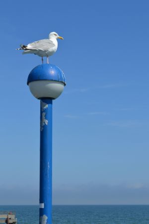 Was wollen Sie Meer ? Sommer, Sonne, Sonnenschein auf Deutschlands sonnenreichster Insel