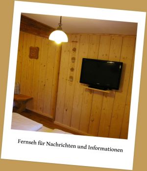 Fernsehen für Infos oder Unterhaltung