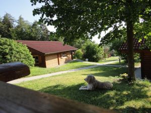 Kaja im Schatten Ausruhen nach dem Spaziergang unter der Linde.
