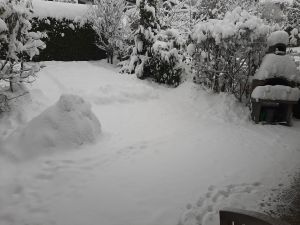 Bild 71: Ferienhaus Degenhardt - Im Urlaub und doch zu Hause