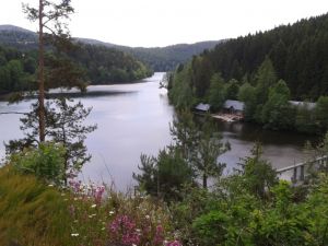 Bootsverleih in ca. 14 km vom Ferienhaus