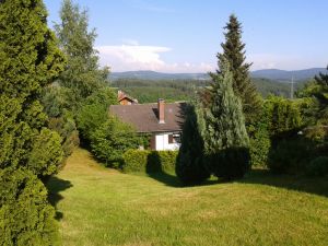 Blick auf den eingezäunten Garten