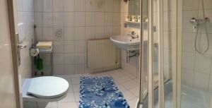 Bild 5: Ferienwohnung Edeltraud Döbriach Millstättersee