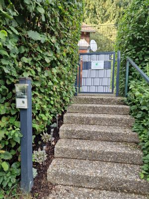 Der Garten ist komplett eingezäunt und eingewachsen.