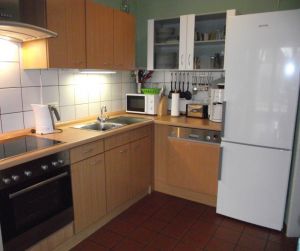 Küche mit Spülmaschine und Dunstabzugshaube