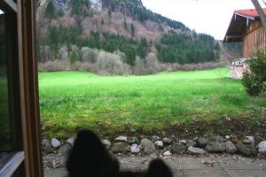 Blick vom Schlafzimmer in den Garten und in die Natur