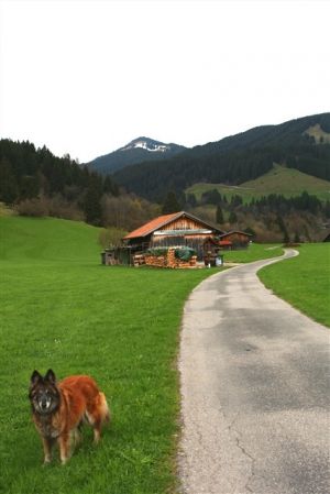 unzählige markierte Wanderwege ab Haus