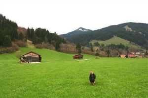Wanderwege direkt vom Haus aus erreichbar