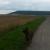 Galeriebild 5