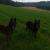 Galeriebild 4