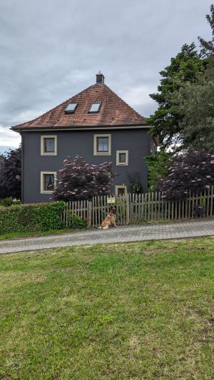 freistehendes Ferienhaus mit komplett eingezäunten Garten und privatem Swimmingpool