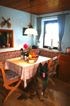 fränkische Spezialitäten zum Einzug Bild 12: Ferienhaus Gabriela mit eingezäunten Garten und privatem Swimmingpool