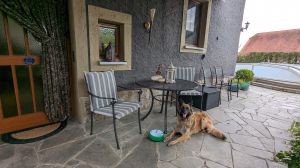 freistehendes Ferienhaus mit komplett eingezäunten Garten und privatem Swimmingpool
Hunde, egal wieviele, herzlich willkommen