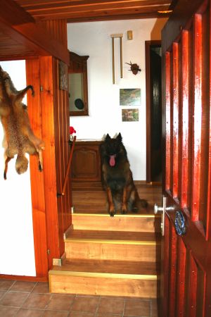 Hunde sind herzlich willkommen Eingangsbereich mit Garderobe