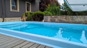 privates Schwimmbad im Garten Hunde dürfen gerne mit an den Pool, aber nicht in den Pool