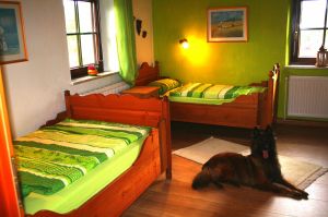 Schlafzimmer mit 2 Einzelbetten Bild 24: Ferienhaus Gabriela mit eingezäunten Garten und privatem Swimmingpool