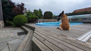 Swimmingpool nur für Sie Bild 32: Ferienhaus Gabriela mit eingezäunten Garten und privatem Swimmingpool