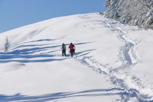 Bild 14: Ferienhaus Schnappenblick Urlaubsregion Chiemsee-Chiemgau-Achental-Grassau