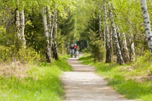 Bild 16: Ferienhaus Schnappenblick Urlaubsregion Chiemsee-Chiemgau-Achental-Grassau