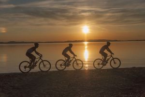 Bild 17: Ferienhaus Schnappenblick Urlaubsregion Chiemsee-Chiemgau-Achental-Grassau