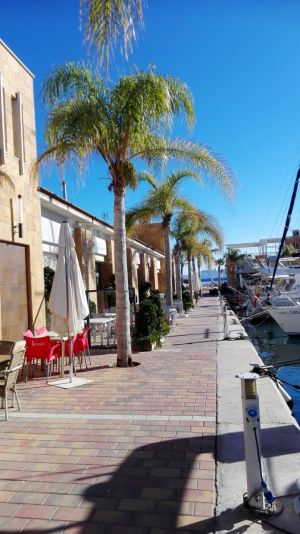Bild 26: Schickes Ferienhaus mit Klimaanlage und 8x4 m Pool in Spanien