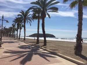 Bild 22: Schickes Ferienhaus mit Klimaanlage und 8x4 m Pool in Spanien