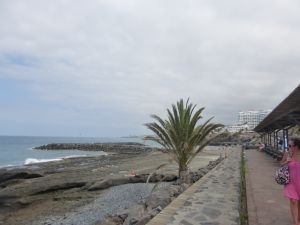 Bild 8: Apto Xenia Costa Adeje