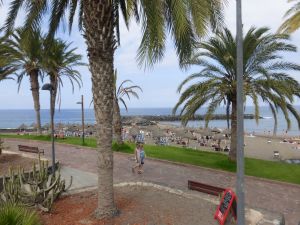 Bild 12: Apto Xenia Costa Adeje