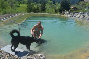 Bild 8: Ferienwohnung Köbi, nur mit Hund im Allgäu. Haus Christl Cranz Steibis