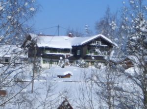 Bild 3: Ferienwohnung Mika, nur mit Hund, Haus Christl Cranz in Steibis im Allgäu