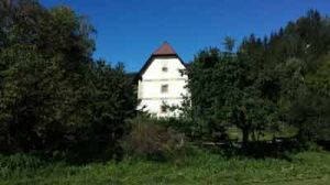Bild 1 Bild 1: Der "Turm"! Hundefreundlich und eingezäunt. Mit eigener Sauna
