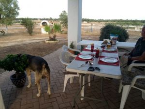 kühl und schattig im Sommer